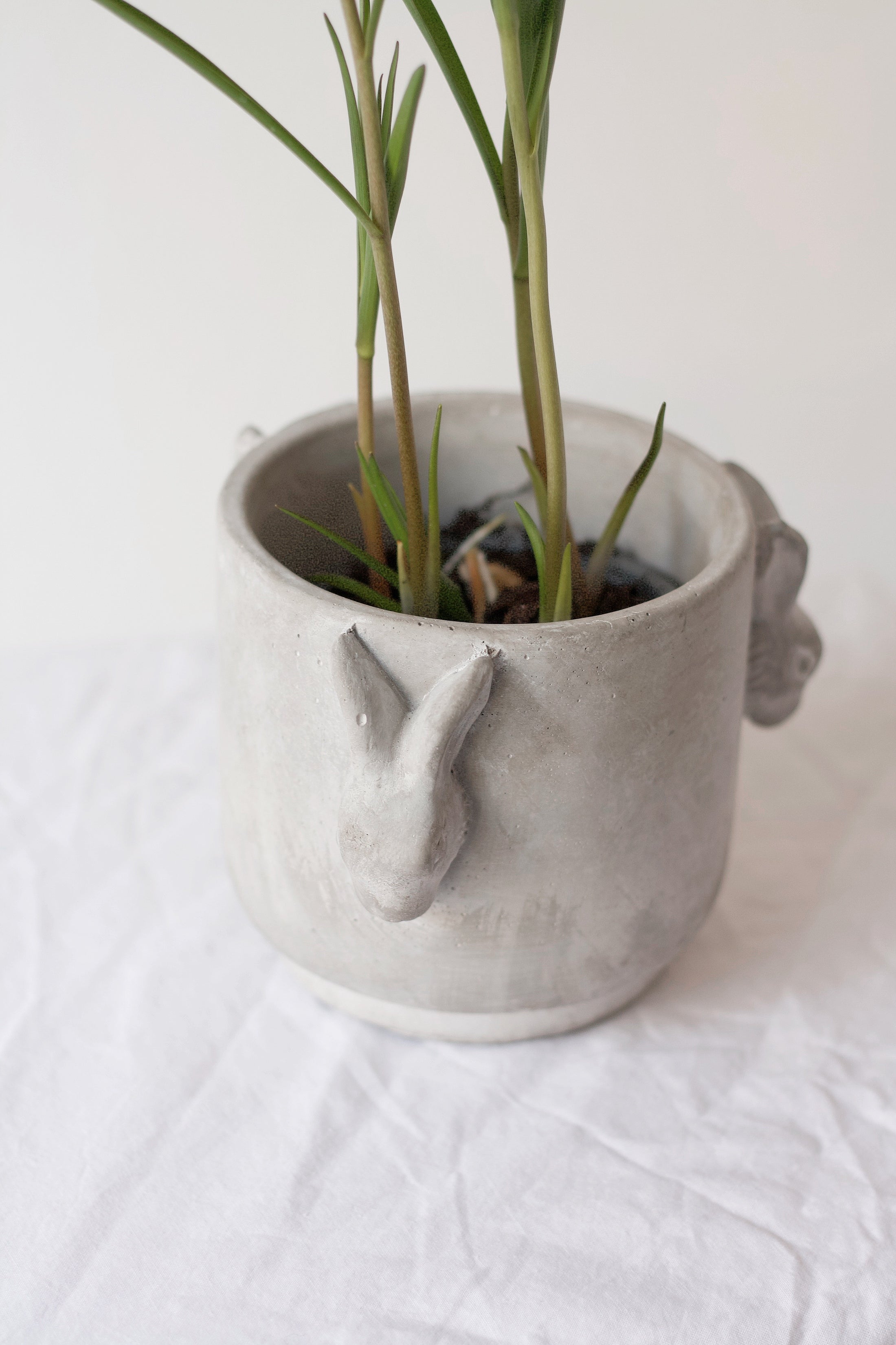 Wikholm Form Übertopf mit Hasenornament, Zement 13x10cm